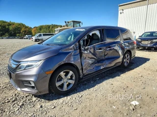 HONDA ODYSSEY EXL