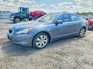HONDA ACCORD EXL