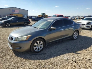 HONDA ACCORD EXL