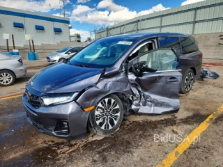 HONDA ODYSSEY ELITE