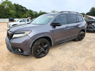 HONDA PASSPORT ELITE