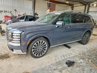 HYUNDAI PALISADE CALLIGRAPHY