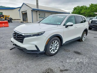 HONDA CR-V EX