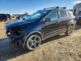 FORD ESCAPE SEL