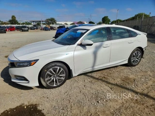 HONDA ACCORD HYBRID EXL