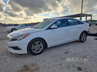 HYUNDAI SONATA ECO