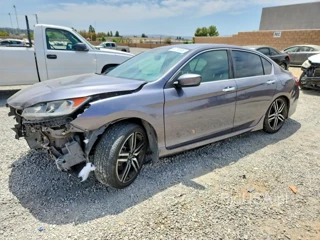 HONDA ACCORD SPORT