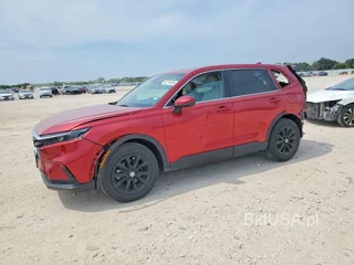 HONDA CR-V EXL