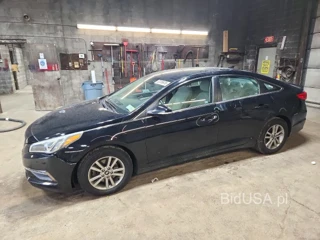 HYUNDAI SONATA ECO