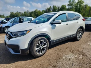 HONDA CR-V EXL