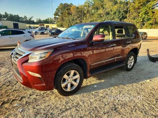 LEXUS GX 460
