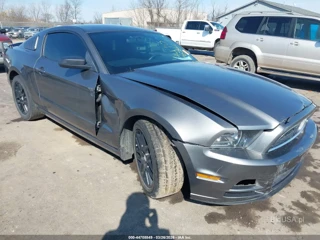 FORD FORD MUSTANG V6