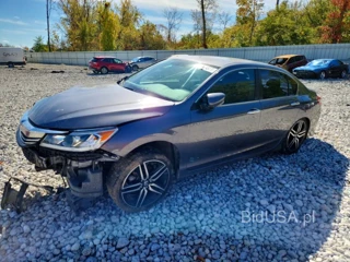 HONDA ACCORD SPORT SPECIAL EDITION