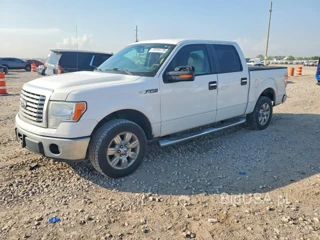 FORD F150 SUPERCREW