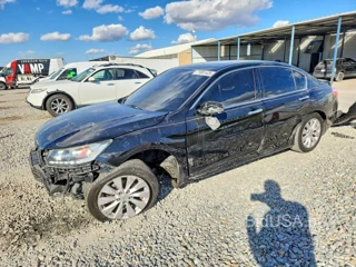 HONDA ACCORD EXL