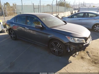 HONDA HONDA ACCORD SPORT