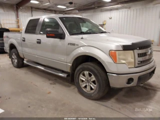 FORD FORD F-150 XLT