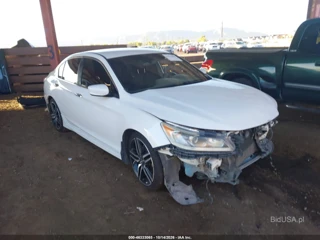 HONDA HONDA ACCORD SPORT