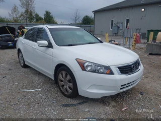 HONDA HONDA ACCORD 2.4 EX-L