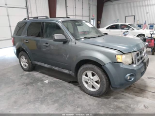 FORD FORD ESCAPE XLT