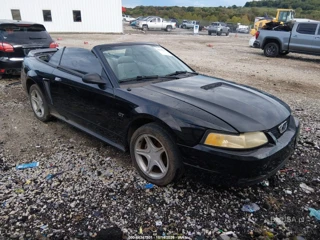 FORD FORD MUSTANG GT