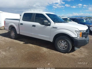 FORD FORD F-150 XL