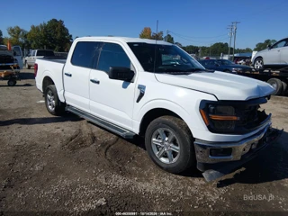 FORD FORD F-150 XLT