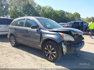 HONDA HONDA CR-V LX
