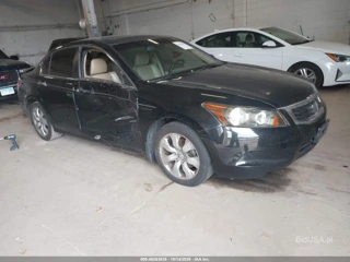 HONDA HONDA ACCORD 2.4 EX-L