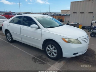 TOYOTA TOYOTA CAMRY LE/SE/XLE