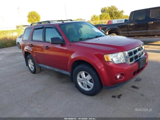 FORD FORD ESCAPE XLT