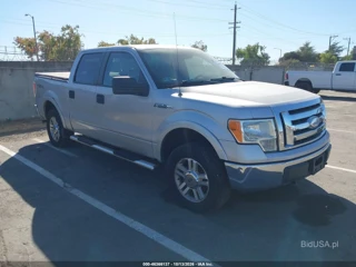 FORD FORD F-150 XL/XLT