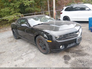 CHEVROLET CHEVROLET CAMARO 2LS