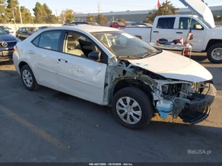 TOYOTA TOYOTA COROLLA LE ECO