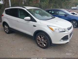 FORD FORD ESCAPE SE