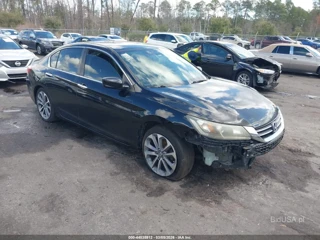 HONDA HONDA ACCORD SPORT