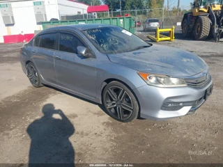 HONDA HONDA ACCORD SPORT