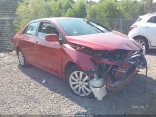 TOYOTA TOYOTA COROLLA LE
