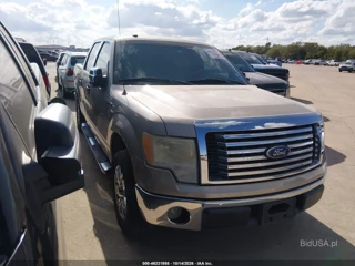 FORD FORD F-150 XLT