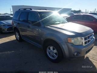 FORD FORD ESCAPE XLT