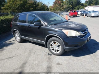 HONDA HONDA CR-V EX