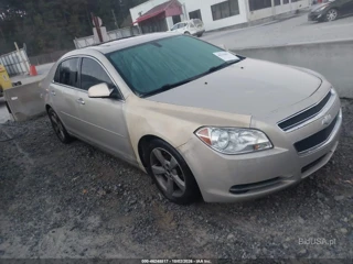 CHEVROLET CHEVROLET MALIBU 1LT