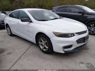 CHEVROLET CHEVROLET MALIBU 1FL