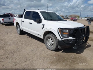 FORD FORD F-150 XL
