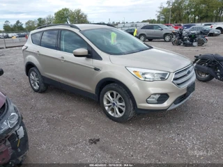 FORD FORD ESCAPE SE