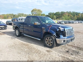 FORD FORD F-150 XLT