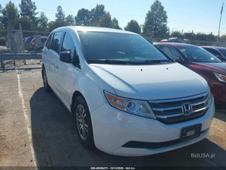 HONDA HONDA ODYSSEY EX-L
