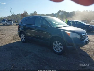 HONDA HONDA CR-V EX