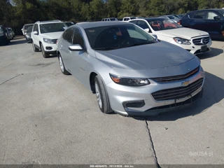 CHEVROLET CHEVROLET MALIBU 1LT