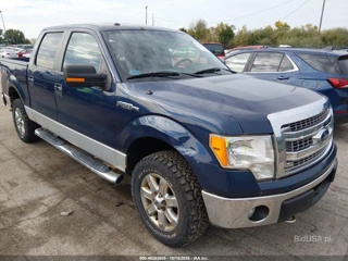 FORD FORD F-150 XLT